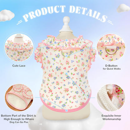 2 Pack Dog Shirt for Small Dogs Breathable Summer Clothes with Ruffled Sleeves Dog Tshirt Stretchy Pet Tee for Puppies Sphynx Cats Kitten Frenchie Dachshund(Pink&Blue,Medium)