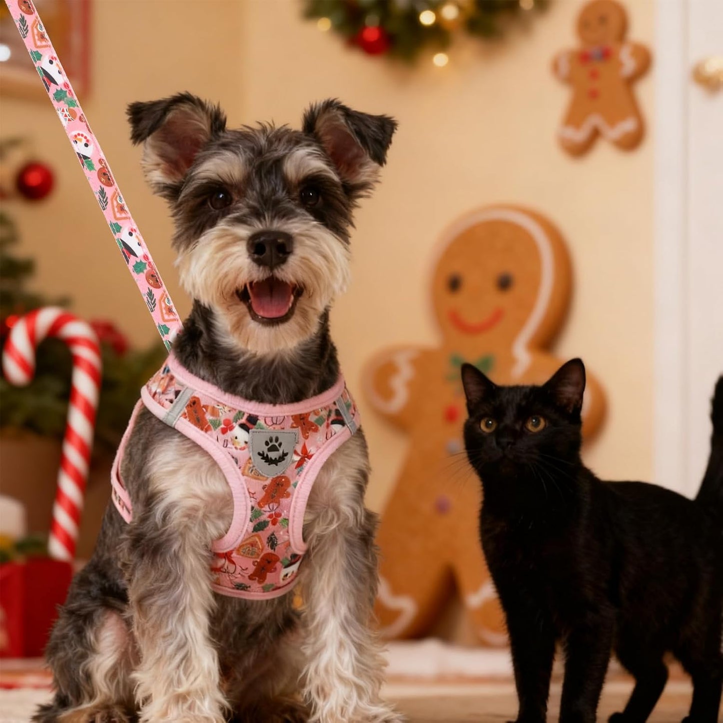 EXPAWLORER Christmas Puppy Harness - Dog Collar and Leash - Soft Mesh Padded Adjustable Step in Small Dog Vest Harness No Pull, Reflective Escape Proof for Outdoor Walking, Red S