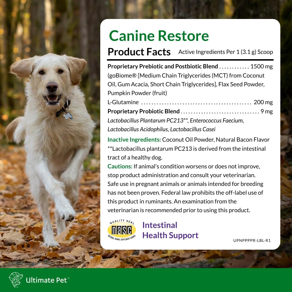 Ultimate Pet Nutrition Canine Restore, Gut Health Supplement with Prebiotics, Probiotics, & Postbiotics for Digestive Health & Immunity Support, Vet Formulated Powder Food Topper