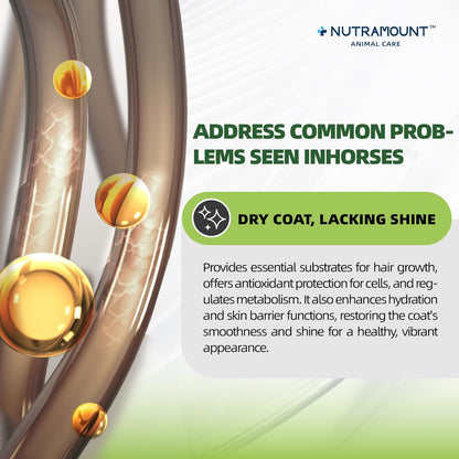 Horse Weight Gain Supplement – Omega-3 Flaxseed Formula, Natural High-Calorie Support for Healthy Weight & Shiny Coat, Easy-to-Digest High-Fat Horse Supplement – 840g