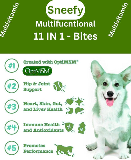 Dog Multivitamin, Chewable Dog Vitamins and Supplements for Hip & Joints, Skin & Coat, Omega 3 Fish Oil for Dogs- Senior & Puppy Multivitamin - Salmon- 120 Soft Chews