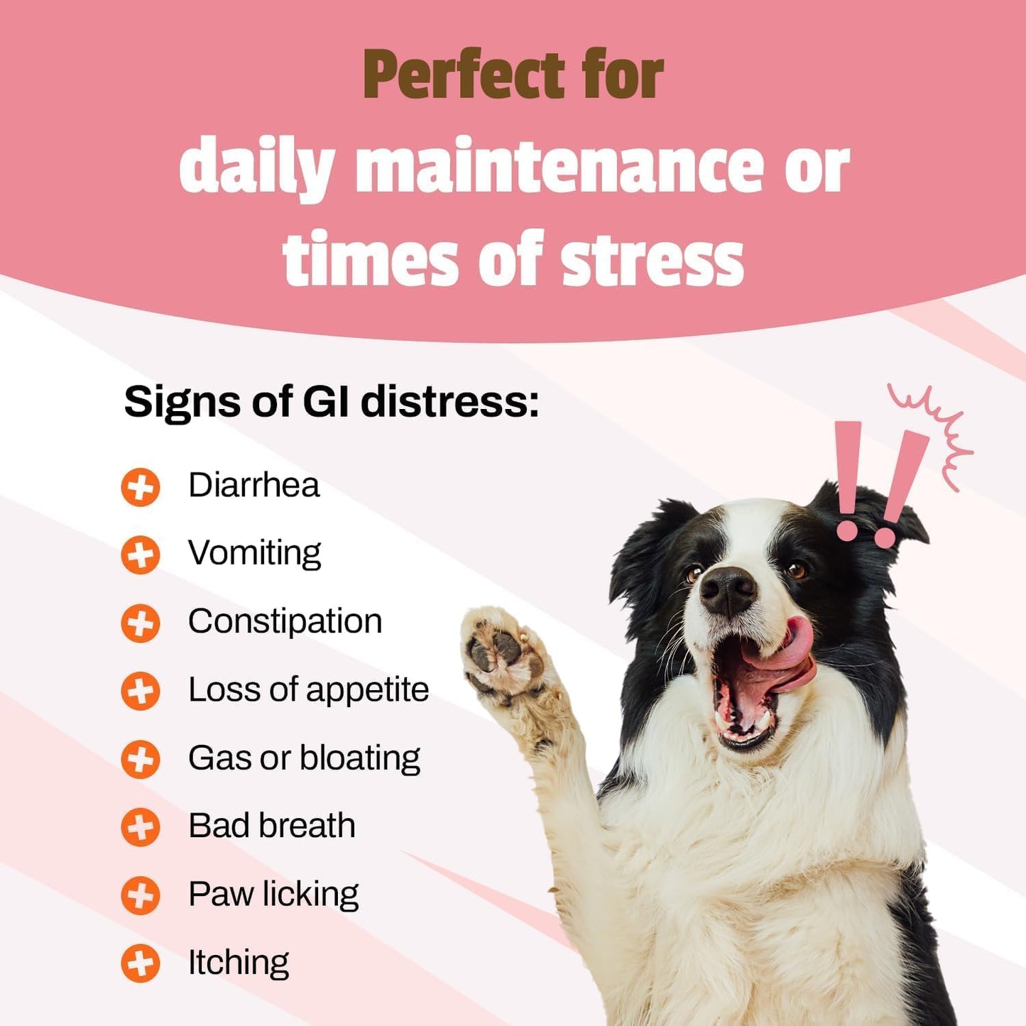 Pet Naturals Daily Probiotic for Dogs, Duck Flavor, 320 Chews - 120M CFUs Pre and Probiotics for Dogs Digestive Health, Gut Health, Immune Support, Diarrhea, Allergies and Itching