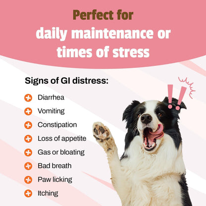 Pet Naturals Daily Probiotic for Dogs, Duck Flavor, 320 Chews - 120M CFUs Pre and Probiotics for Dogs Digestive Health, Gut Health, Immune Support, Diarrhea, Allergies and Itching