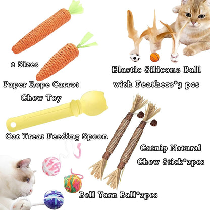 10-Pack Cat Toy Variety Set – Catnip Sticks, Carrot Chew Toys, Feather Balls, Yarn Bell Balls & Treat Spoon for Indoor Cats and Kittens