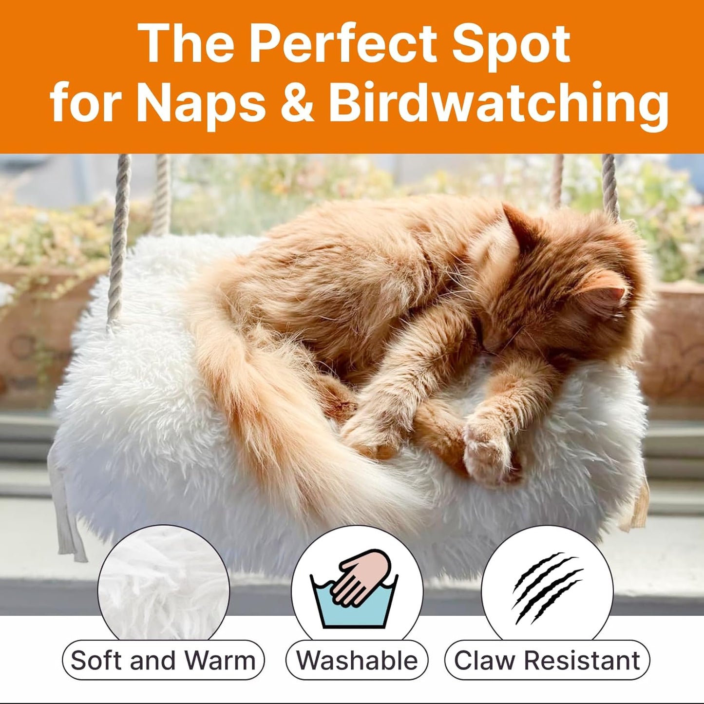 Cat Hammock with Industrial-Grade Suction Cups - Solid Pine Wood Seat, Soft Cushion - 42 lb Capacity