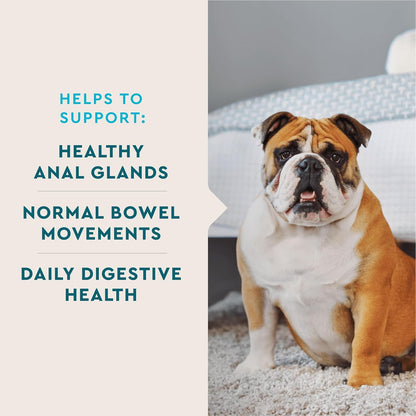 VetIQ Anal Gland Probiotic & Digestion Supplement, Hickory Smoke Flavored Pumpkin Fiber Soft Chew, 60 Count