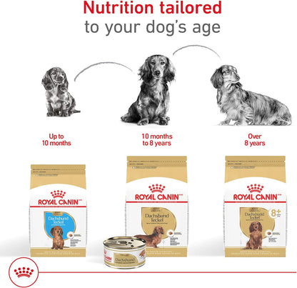 Royal Canin Breed Health Nutrition Dachshund Adult Dry Dog Food, 10 lb Bag