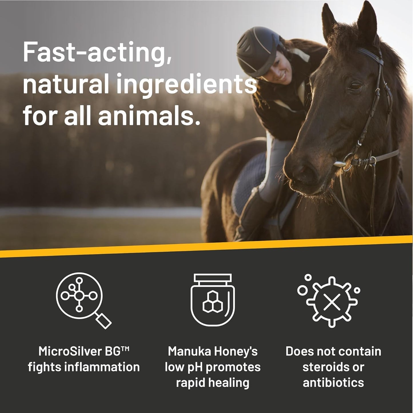 Absorbine Silver Honey Rapid Wound Repair Ointment 2oz Tube, Manuka Honey + MicroSilver BG, Horse & Large Animal Wound Care