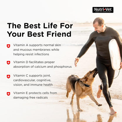 Nutri-Vet Senior-Vite Multivitamin, Dog Supplements, Immune Support, Pet Supplies, Vitamins for Dogs, Senior Essentials, Made in USA, Multivitamin for Pets, 120 Count