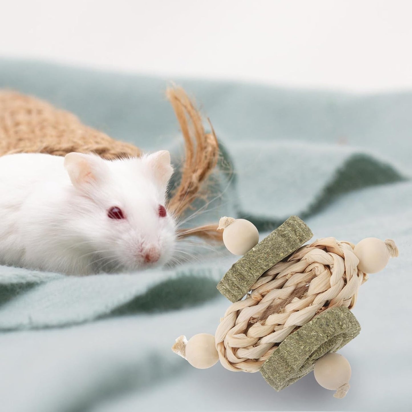 Hamster Guinea Pig Chew Healthy Teeth Chewing Snacks for Rabbits Small Pets Oral Biting Playthings Comforting Bunny Teething Treats in Bag