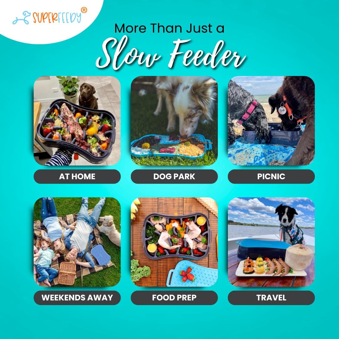 4-in-1 Slow Feeder Dog Bowl with Lick Mat – BPA-Free, Food Grade Silicone, Large Capacity for Large Dogs