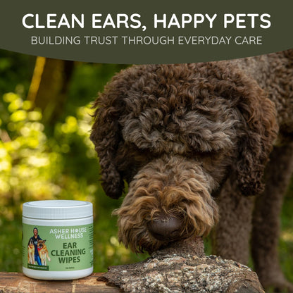 ASHER HOUSE WELLNESS Pet Ear Cleaning Wipes - Dog & Cat Plant-Based Ears Cleaner, Remove Wax & Dirt, Relieve Itch, Prevent Odor & Infection - Gentle for Pets Dogs Cats Over 12 Weeks, Made in USA
