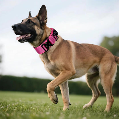 AirTag Dog Collar, 2" Wide Tactical Military Dog Collar with AirTag Holder & 3 Pet Patches, Soft Padded Reflective Waterproof Nylon Collar with Metal Buckle for Medium Dogs (Hot Pink, M)