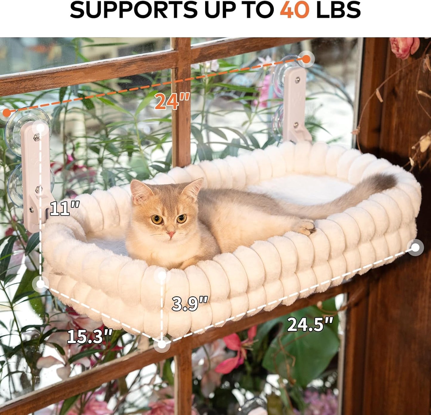 CHEERPALS Cat Window Perch for Indoor Cats Hammock for Window with Reversible Cushion, Foldable Cat Window Bed for Large Cats and Kittens(White,Medium)