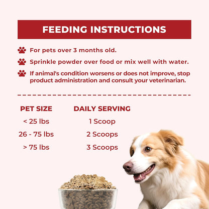 Wellix Large Hip & Joint Supplement for Dogs & Cats – Glucosamine Chondroitin MSM & Turmeric for Dogs – Dog Joint Health, Cat & Dog Arthritis Supplement, Chicken Chondroitin for Puppy & Kitten