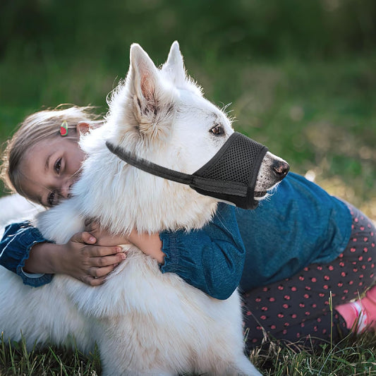 HEELE Dog Muzzle,Soft Nylon Muzzle Anti Biting Barking Chewing,Air Mesh Breathable Drinkable Adjustable Loop Pets Muzzle for Small Medium Large Dogs 4 Colors 4 Sizes (Black, L)