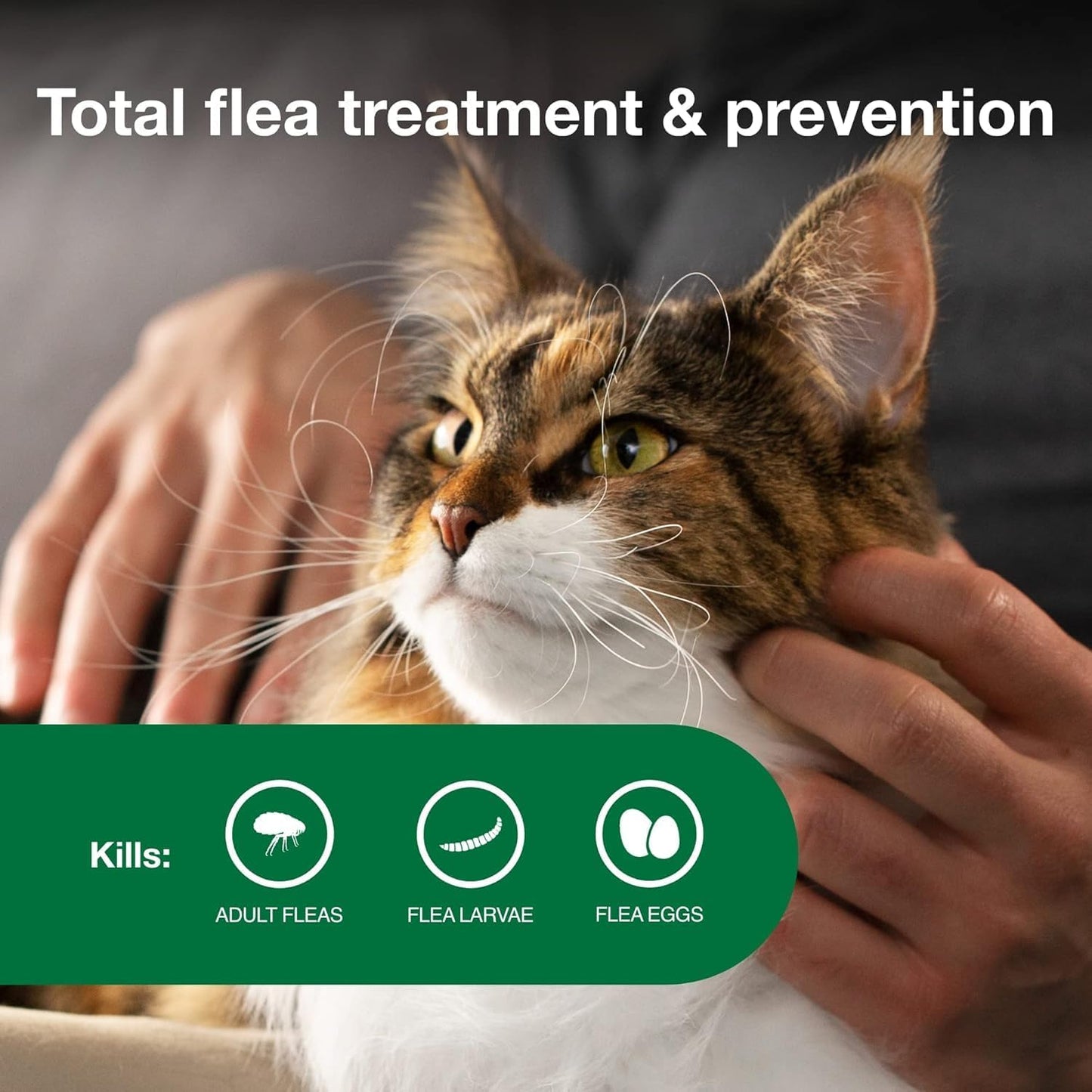 Bundle of Advantage II Vet-Recommended Flea Treatment & Prevention | Cats Over 9 lbs. + Advantage Yard & Premise Spray 32 oz.