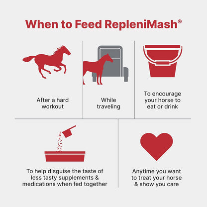 Purina | RepleniMash™ Product | Horse Mash (7 lb)