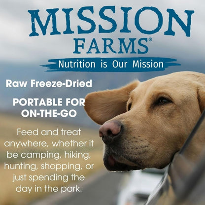 Mission Farms Wild Caught Salmon & Pumpkin Freeze-Dried Raw Dog Food Formula Complete & Balanced Meal for All Ages, 14 oz