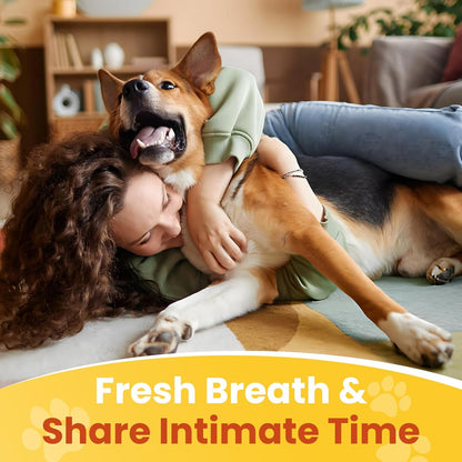 200 Chews No Poo&Probiotic Chew For Dogs-2 In 1 Control Coprophagia&Probiotics Supplement- Natural Soft Treats Deterrent Eat Poop-Digestive Enzymes with Prebiotics Support Gut Health-Chicken Flavor