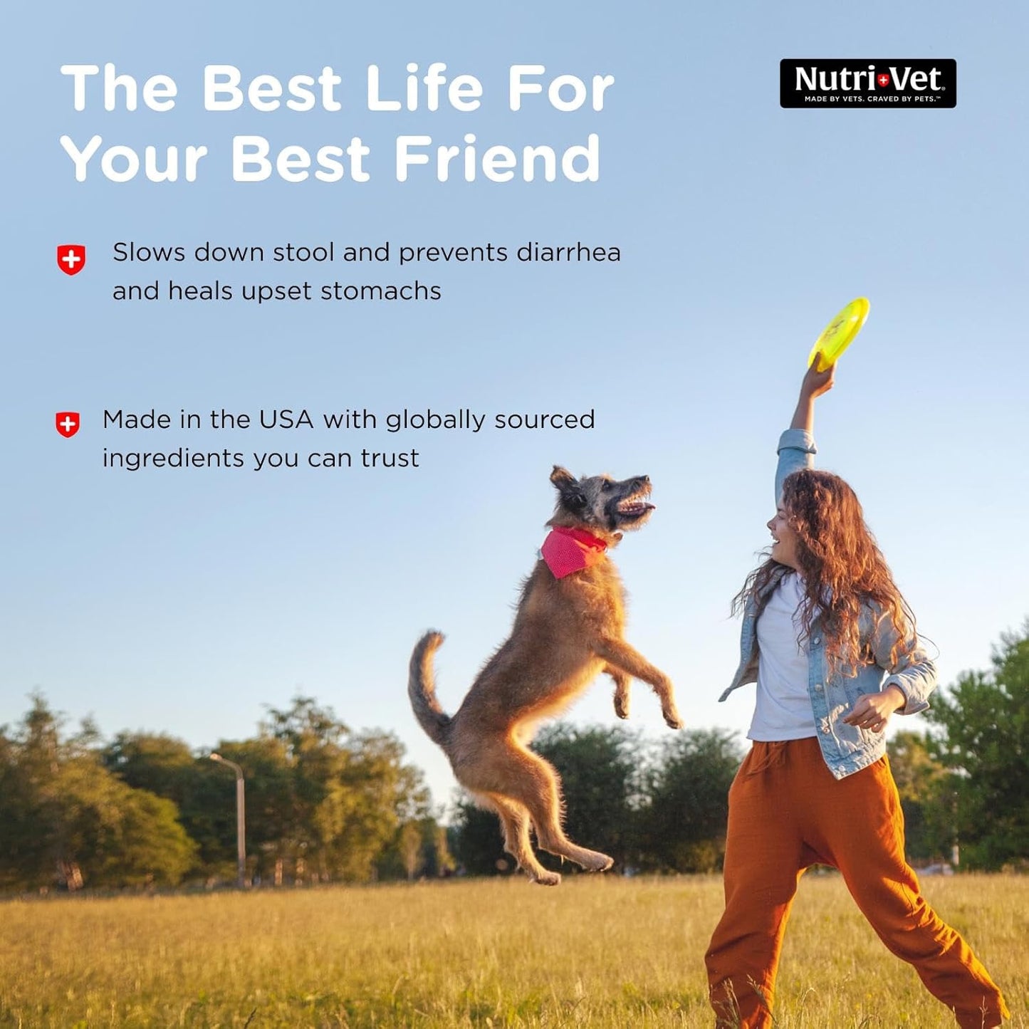 Nutri-Vet Anti-Diarrhea Liquid for Dogs and Puppies, Puppy Supplements for Digestive Health, Dog Essentials for Gut Support, Pet Vitamins, Probiotic Alternative, Puppy Supplies, Made in USA, 4oz