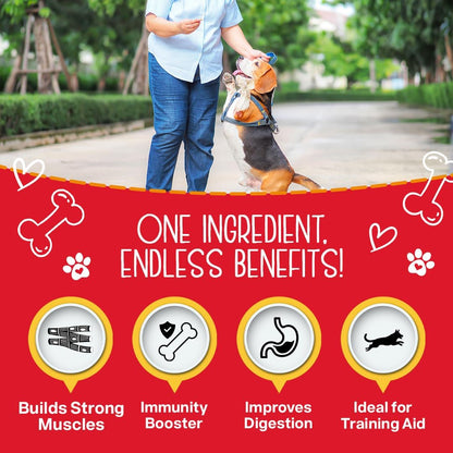 Chewmasters 100% Pure Beef Liver Bites - Healthy Freeze Dried Liver Treats for Dogs of All Life Stages - High Protein Dog Training Treats, Grain Free, All Natural, Zero Additives - Made in USA, 17.6oz