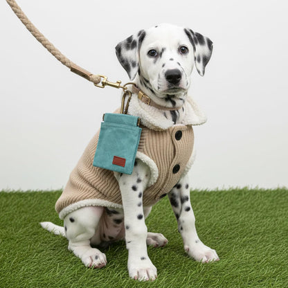 Dog Treat Pouch, Portable Puppy Blue Pocket Sized Dog Training Treat Bag, Hand Free Walking Bag, Auto Closing Pet Feed Snack Reward Pocket, Food Dispenser for Pet Puppy Travel or Outdoor Use