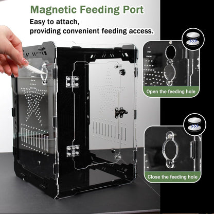 14x10x10 Inch Mechanical Frame Acrylic Terrarium - Front Opening Reptile Enclosure with Magnetic Feeder & Cable Ports, Escape-Proof Habitat for Tarantulas, Mantis, Geckos & Scorpions
