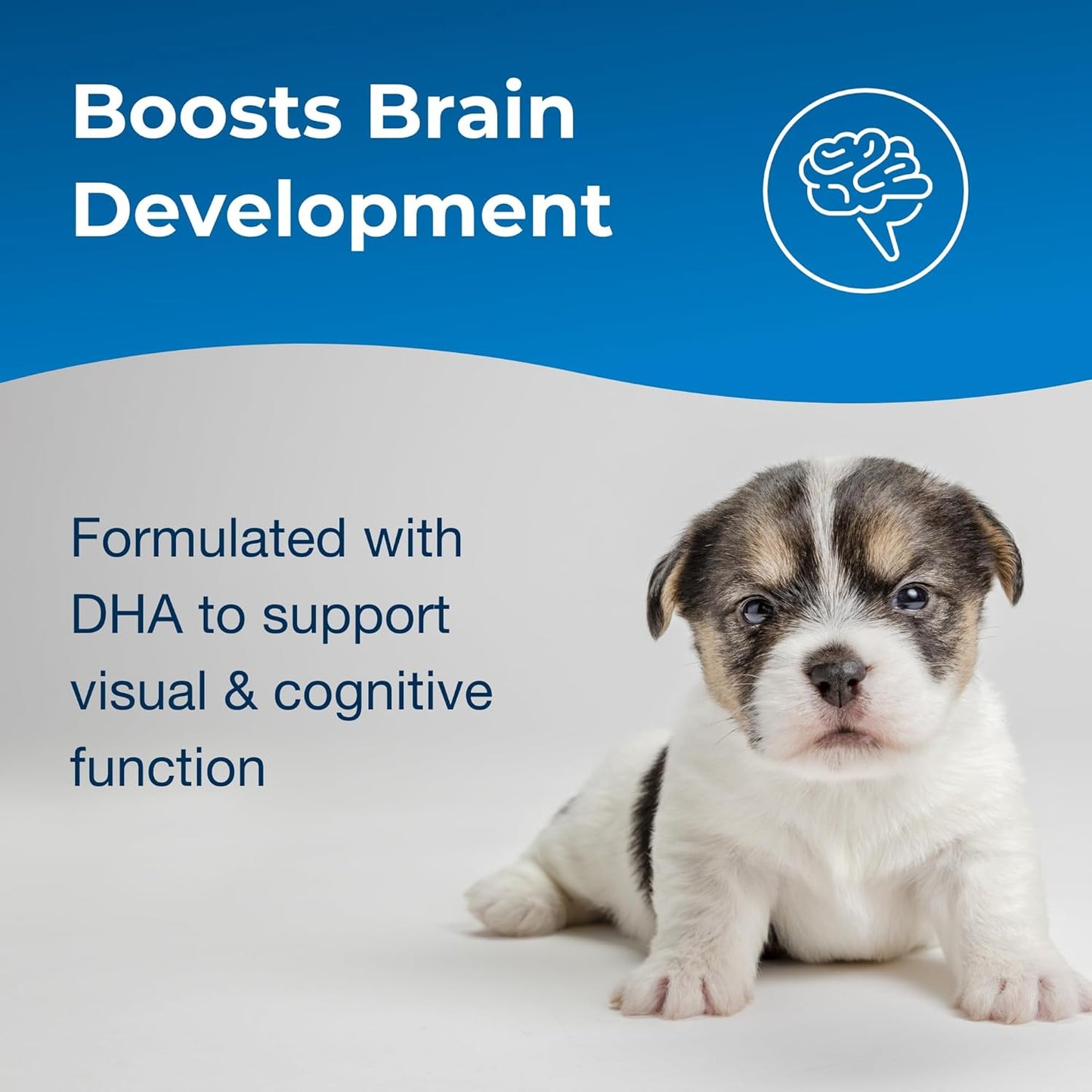 PetAg Esbilac Puppy Milk Replacer Powder (12 oz) Pack of 2 + PetAg Esbilac 2nd Step Puppy Weaning Food (14 oz)