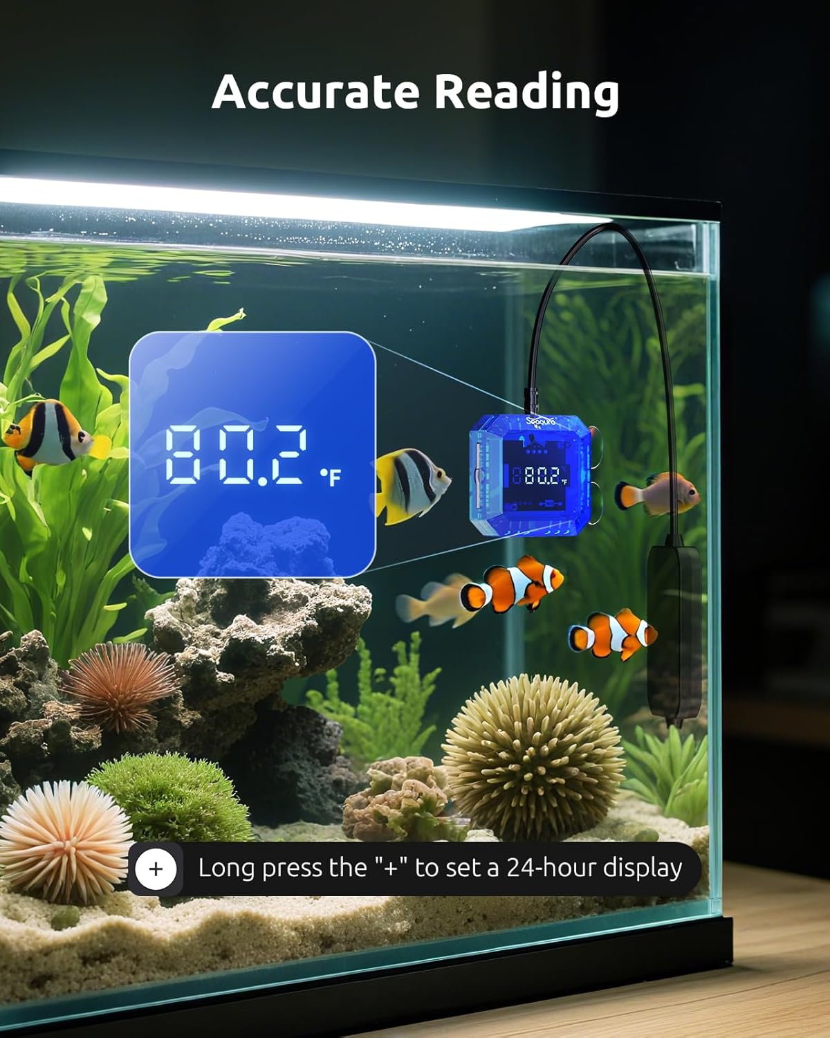 SEAOURA Aquarium Vacuum Cleaner & Aquarium Thermometer