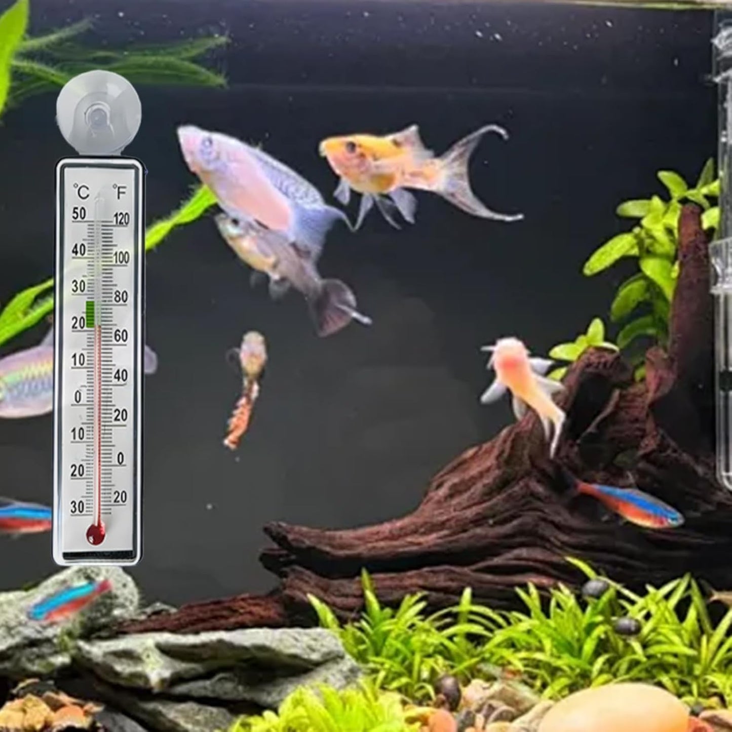 Fish Tank Temp Gauge - Reptile Tank Temperature Monitor,Suction Cup Anti-collision Temp Monitor for Aquarium Terrarium Greenhouse Indoor Fish Tank