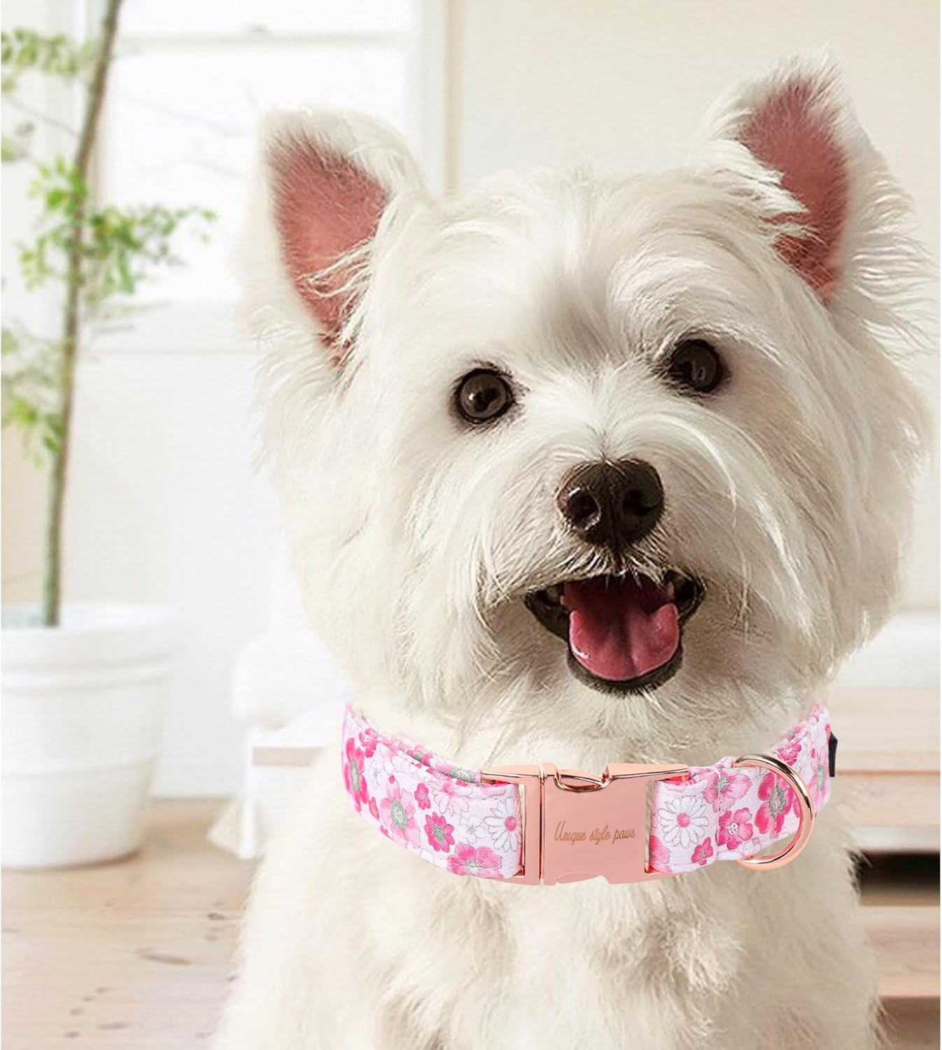 Unique Style Paws Summer Dog Collar, Cute Girl Dog Collar with Flower Pattern, Comfy&Breathable Puppy Collar for Dog,Cats Gifts