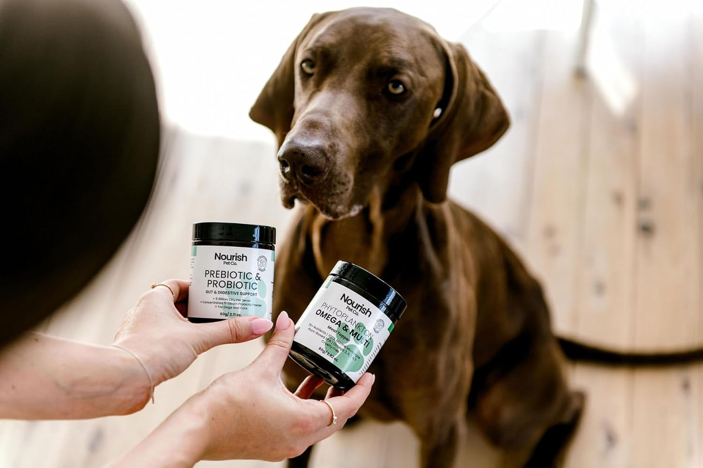 Wellness Bundle for Dogs or Cats – Prebiotic & Probiotics for Digestion & Immune Support – Phytoplankton Omega & Multi Supplement for Overall Health & Energy