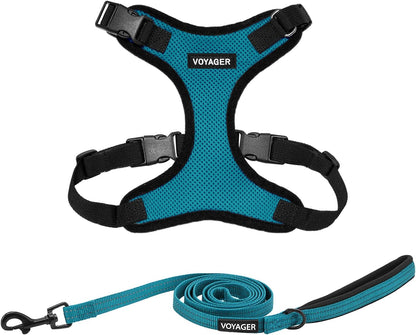 Best Pet Supplies Voyager Step-in Lock Pet Harness w Reflective Pet Leash Combo Set with Neoprene Handle 5ft - Supports Small, Medium and Large Breed Puppies/Cats - Turquoise/Black Trim Set, XL
