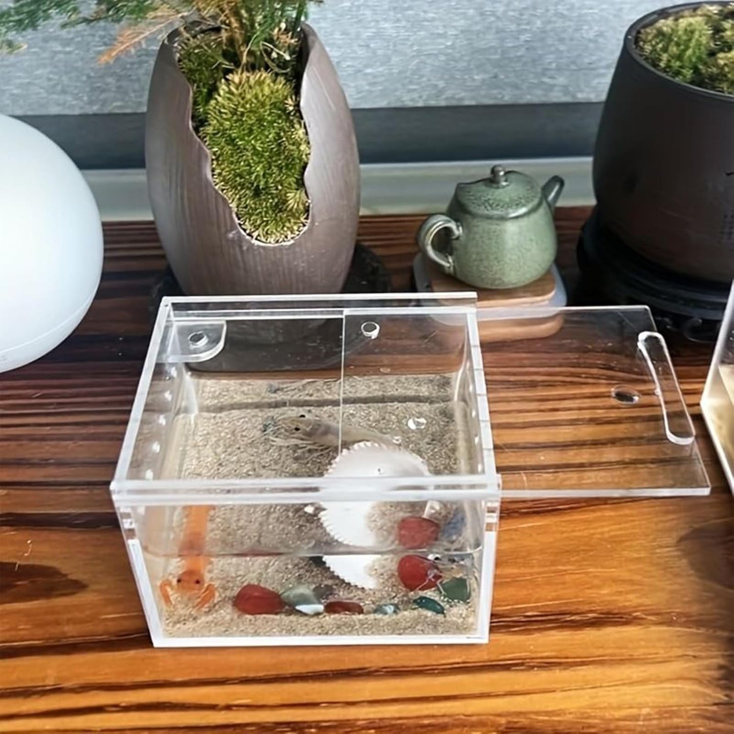 Spider Terrarium, Transparent Waterproof Reptile Feeding Enclosure Box, Gecko Breeding Feeding Hatching Container Tank, Small Reptile Animal Habitat Cage for Snail Frog Gecko Scorpion Centipede
