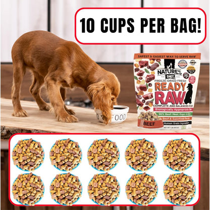 Nature's Diet® Ready Raw® Freeze-Dried Raw Dog Food, Beef, Human Grade, High Pressure Pasteurized (HPP), 96% Meat, Organ, Bone, Safe & Natural, Dry or Wet Feeding