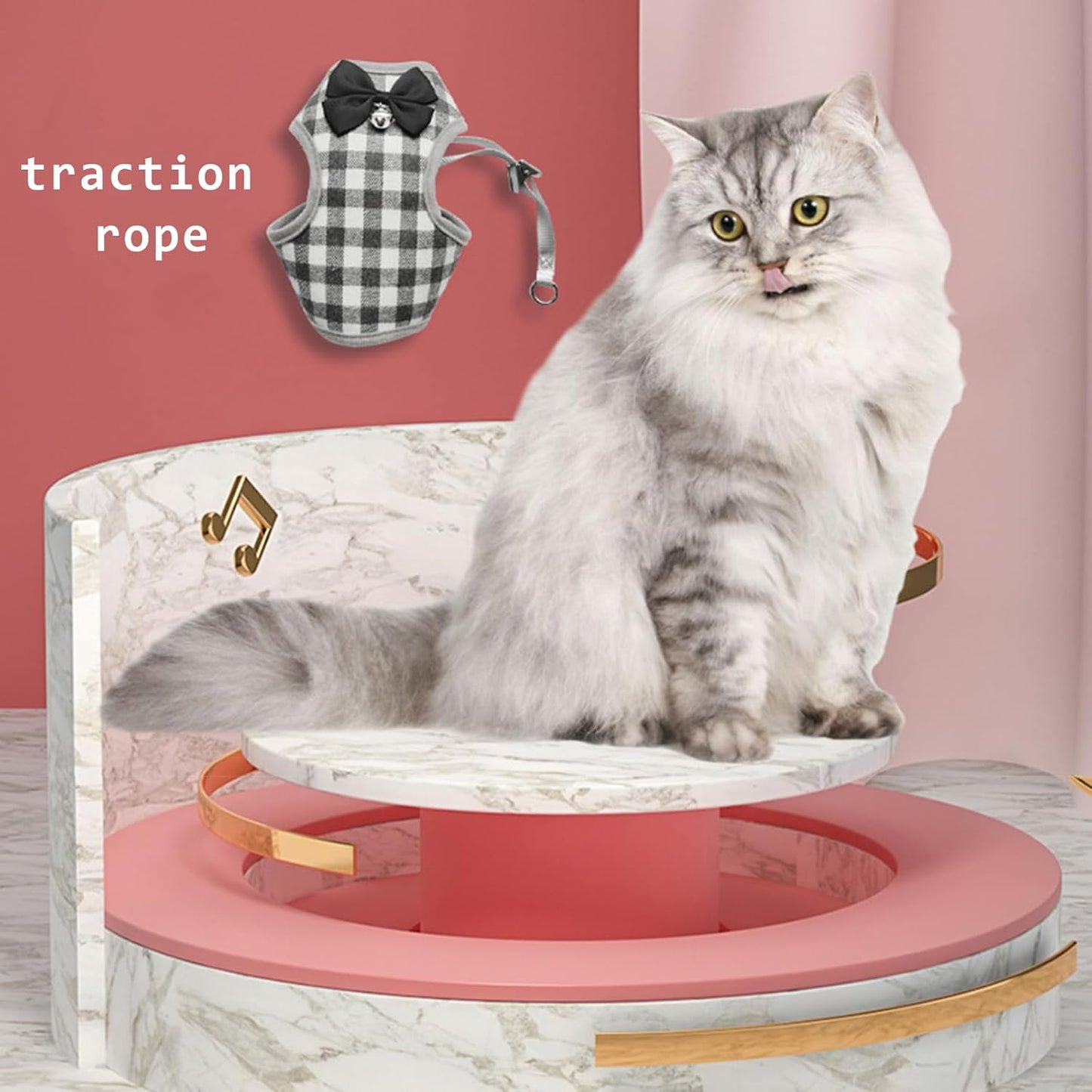 Cat Harness,Pet Escape Proof Walking Vest Strap,Adjustable Breathable Cat Vest Harness Jacket,Cat Clothes (Black, M)