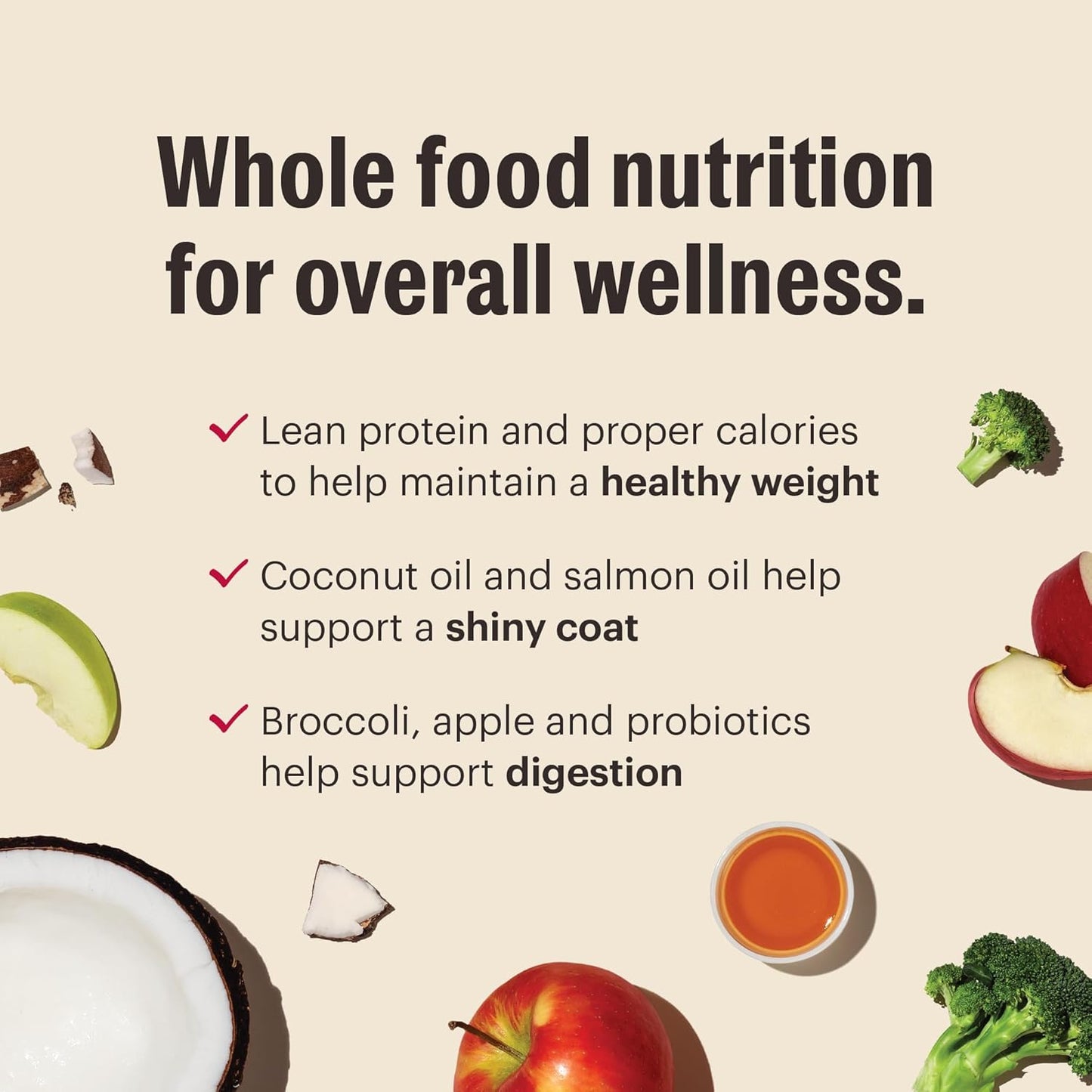 The Honest Kitchen Whole Food Clusters Small Breed Grain Free Chicken Dry Dog Food, 1 lb Trial Pouch