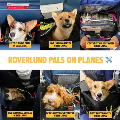 ROVERLUND Airline-Compliant Pet Carrier | Includes Leash | for Pets up to 20lbs