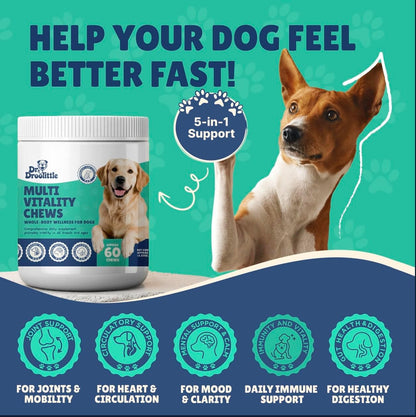 Senior Dog Supplement - Glucosamine, MSM, Turmeric, Salmon Oil, Probiotics & Ashwagandha - Supports Cognitive, Hip & Joint, Digestive, Immune & Heart Health - Dog Dementia Supplement.