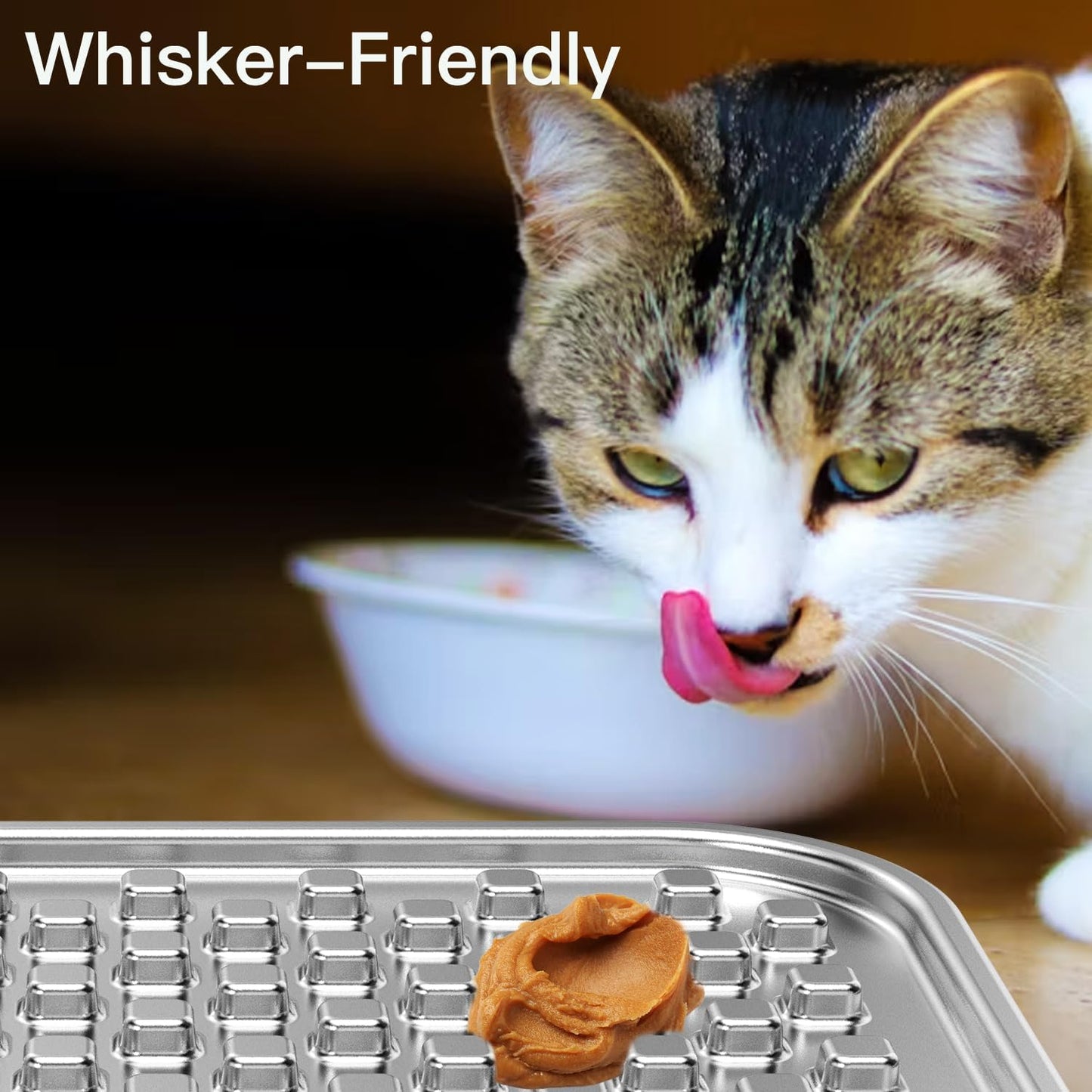 Lick Mat + Water Bowl Set