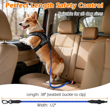 PetBonus Pet Front Dog Carrier Backpacks and Dog Seat Belt for Car