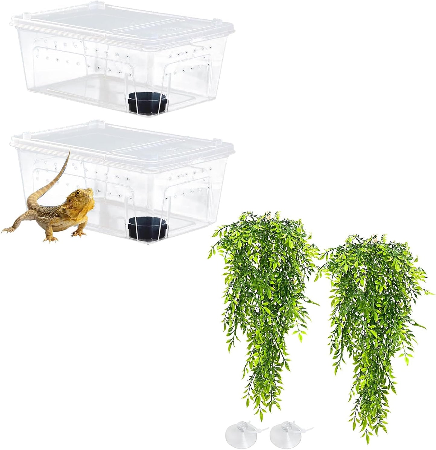 Hamiledyi 2PCS Reptile Feeding Box Snake Breeding Box Transparent Cage and Tank Habitat Decorations 2 PCS Terrarium Hanging Plants with Suction Cups for Lizard, Snake, Bearded Dragon, Leopard Gecko, C