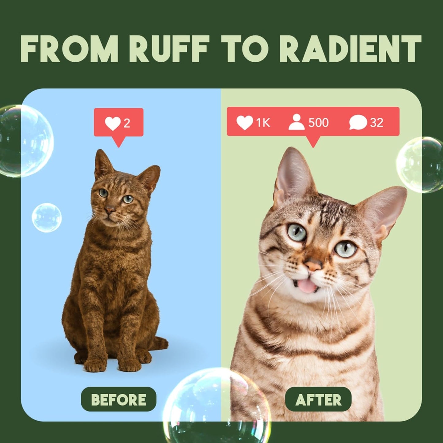 TropiClean Gentle Kitten & Cat Shampoo, Pet Shampoo for Allergies & Sensitive Skin, Made in USA, Gentle Coconut Scent, Safe for Puppies & Dogs, 12oz.