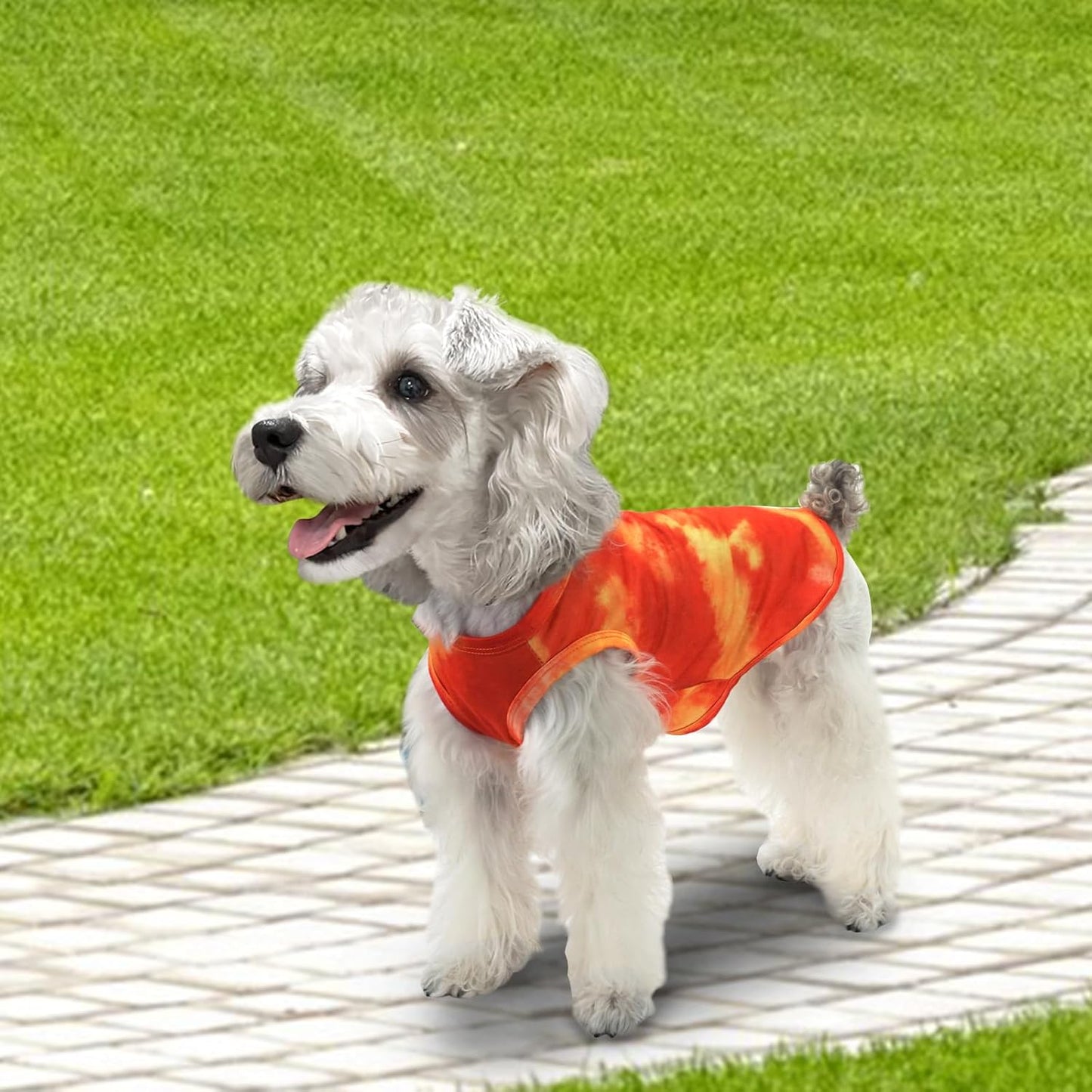 XPUDAC 4 Pack Dog Shirt Tie Dye Lightweight Dog Clothes for Small Dogs Boy Girls Breathable Stretchy Tank Top Vest-Medium