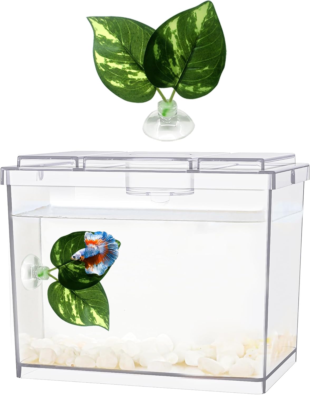 Mini Betta Fish Tank, Small Fish Bowl for Temporary Space, 0.2 Gallon Stackable Cube Tank with Betta Leaf and Gravels for Small Fish, Insect, Shrimp, Crab, Spider.(Pack-1)