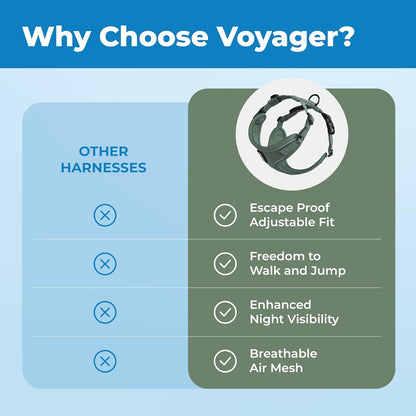 Voyager Escape-Proof Step-in Lock Cat Harness & 5ft Neoprene-Handle Leash Set All-Weather Mesh with Reflective Stitching for Small to Large Cats by Best Pet Supplies, Moss Green (327), XS