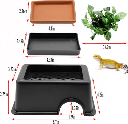 Hamiledyi Reptile Hide Box Gecko Hideout Cave with Sink Humidifier and 4 Pcs Reptile Hideouts Natural Coconut Shells Hut Hermit Crab Climbing Toys for Spider Snake Chameleon