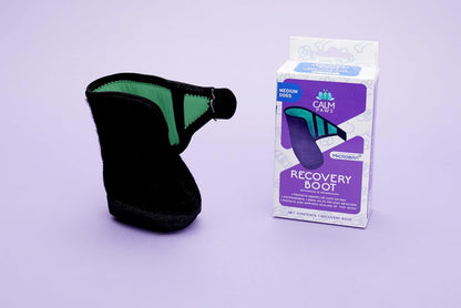 Recovery Boot and paw Protector (Medium)