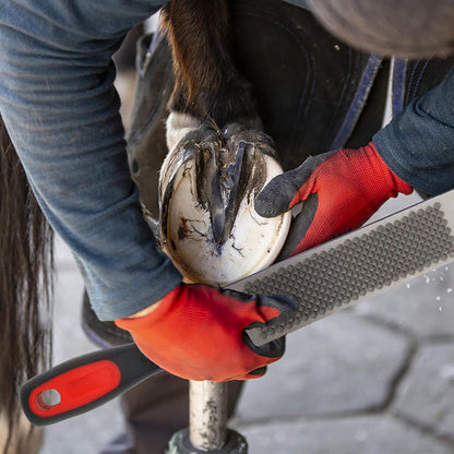 USUNFARN 12 Inches Hoof Rasp for Horses,Carbon Steel Hoof Picks for Horses with Rubber Handle,Double-Sided Hoof Farrier Rasp,Suitable for Horse/Goat/Cow/Donkey/Animal Hooves Farrier Tools (12 Inch)